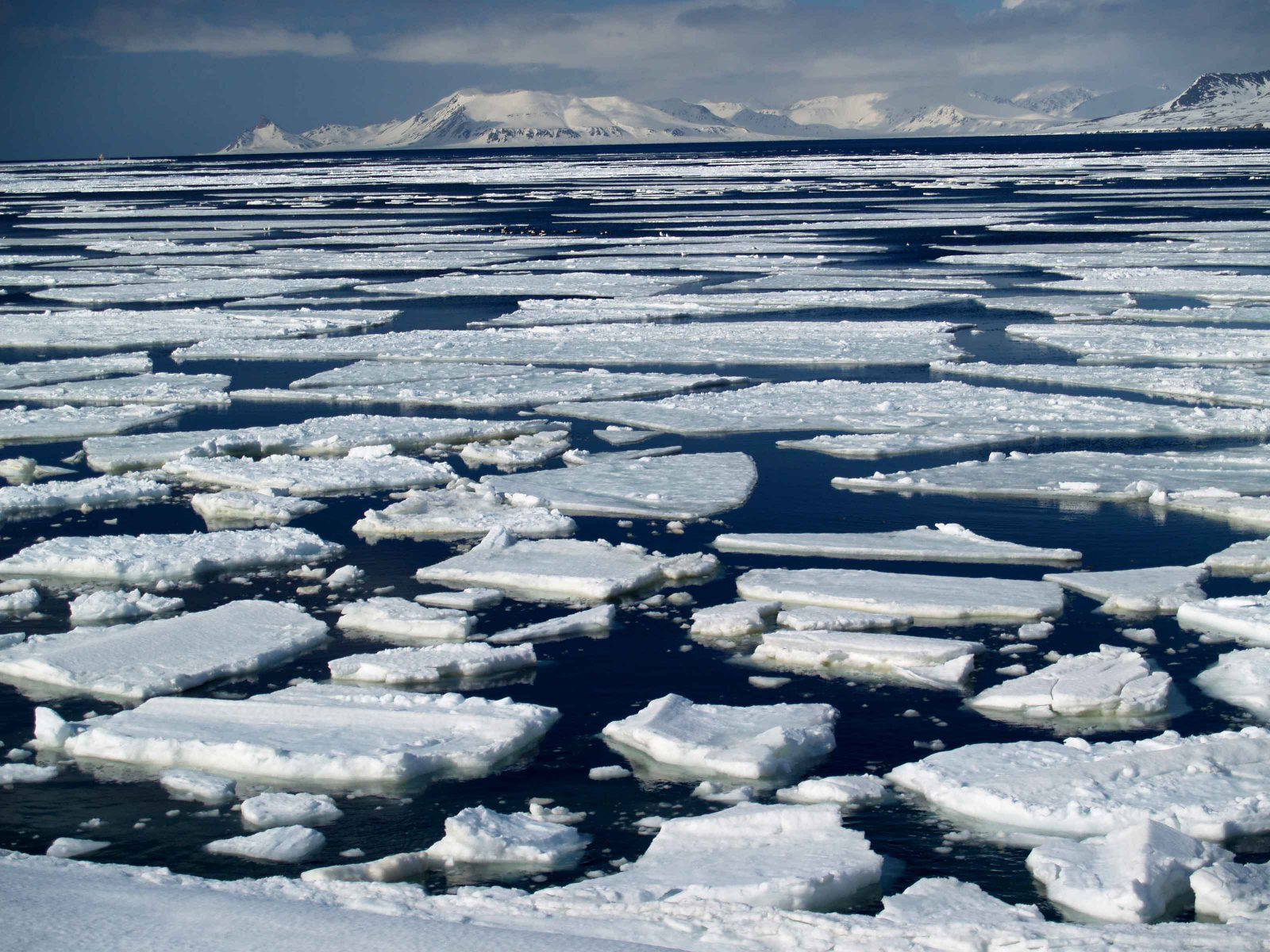 Почему лед назвали льдом. Ледоход Якутск 2023. Ледоход Ямал. Ледоход на Лене 2022. Ледоход на Индигирке 2022.