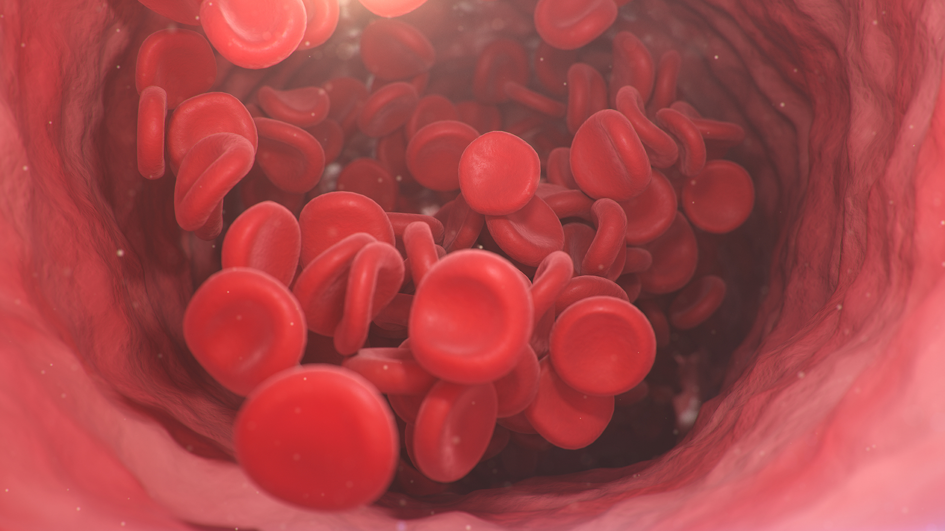 Человек производит около 2,4 миллиона красных кровяных телец в секунду