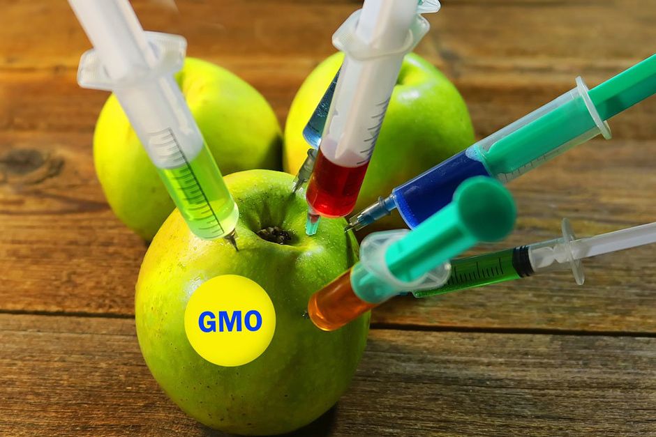 ГМО - это яд