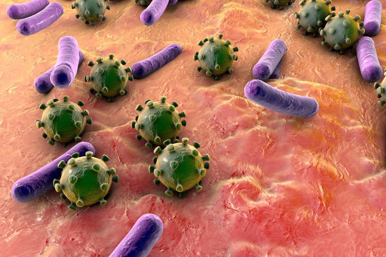 Бактерии гибнут от. Микробы. Микробы и вирусы под микроскопом. Бактерии под микроскопом. Плохие микробы.