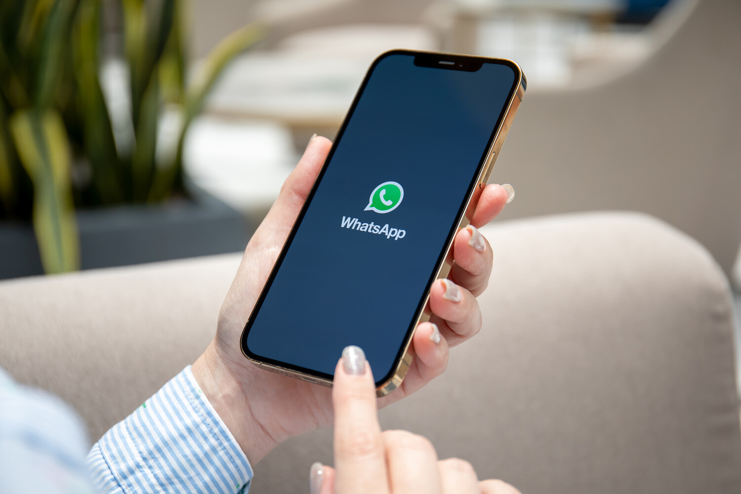 WhatsApp перестанет работать на тысячах смартфонов в России - Газета.Ru | Новости