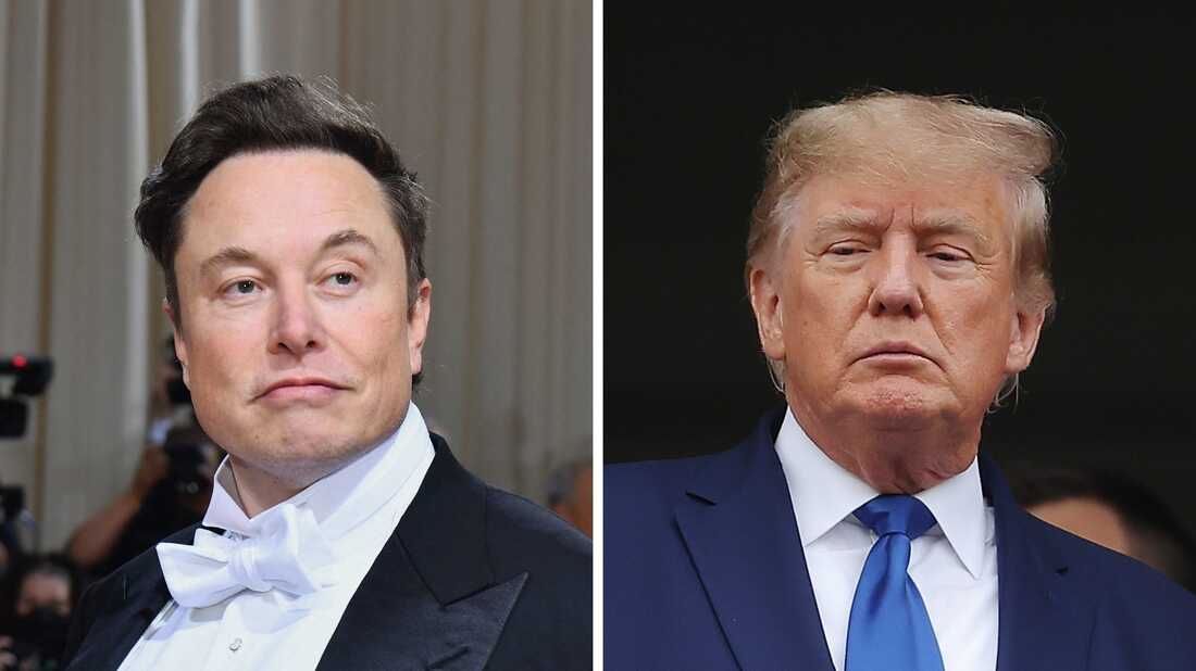 Илон Маск разбанит Дональда Трампа в Twitter