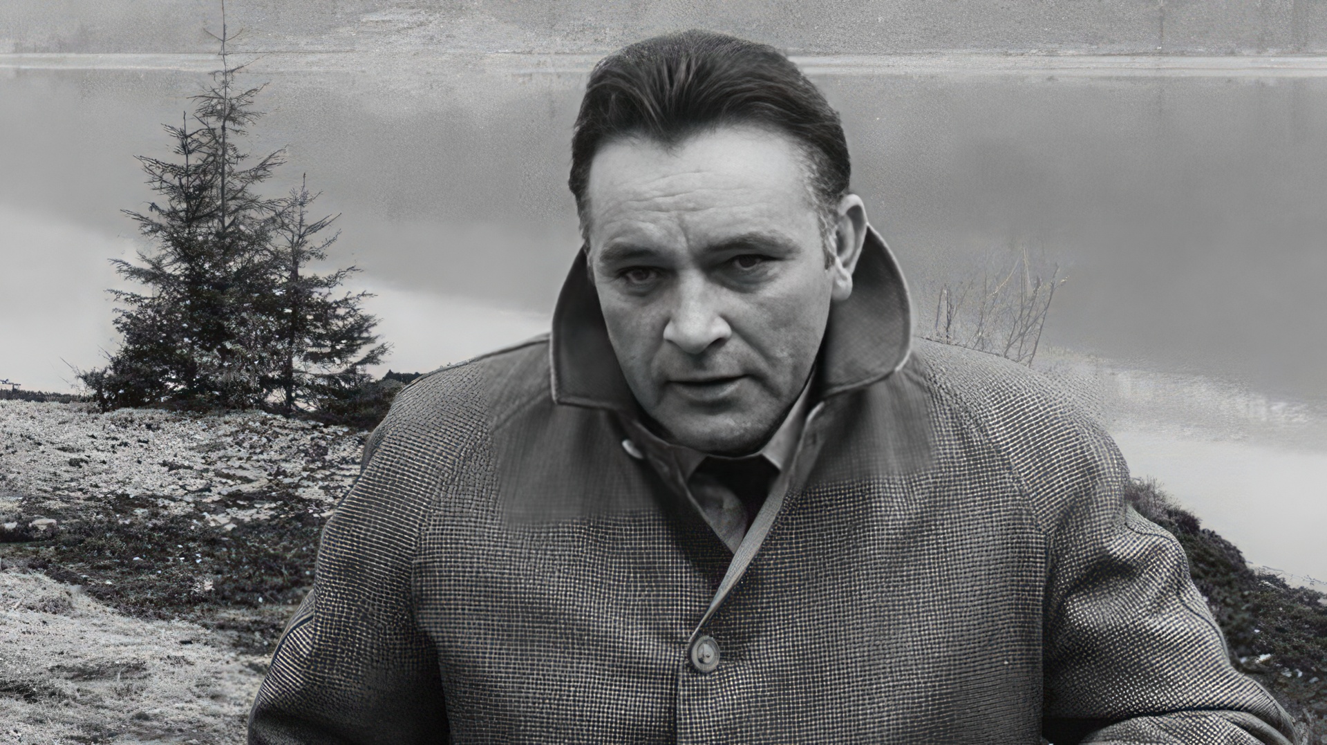 Ричард Бёртон – биография, фото, личная жизнь, отношения с Элизабет Тейлор, дети, причина смерти | Узнай Всё