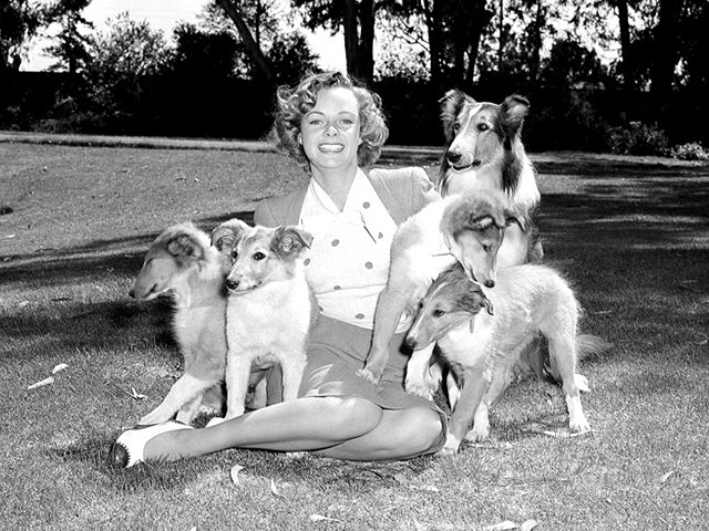 Умерла актриса Джун Локхарт, сыгравшая маму в телесериале "Лесси". Ей было 100 лет - NEWSru.co.il